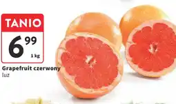 Intermarche Grapefruit czerwony luź oferta