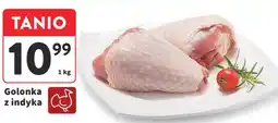 Intermarche Golonka z indyka oferta