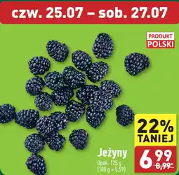 ALDI Jeżyny 125 g oferta