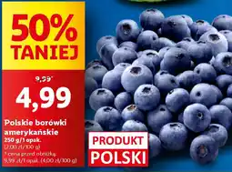 Lidl Polskie borówki amerykańskie 250 g oferta
