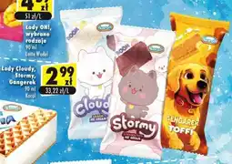 Premium Nasz Sklep Lody Cloudy, Stormy, Gangerek 90 ml oferta