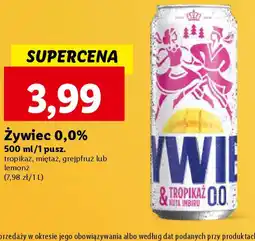 Lidl Żywiec 0,0% 500 ml oferta