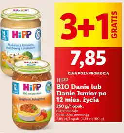 Lidl Hipp BIO Danie lub Danie Junior po 12 mies. życia 250 g/1 opak. oferta