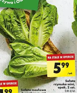 Biedronka Sałata rzymska mini oferta
