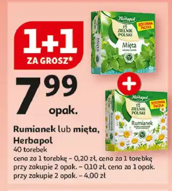 Auchan Herbatka mięta Herbapol zielnik polski oferta