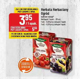 Polomarket Herbata dzika róża Herbapol herbaciany ogród oferta