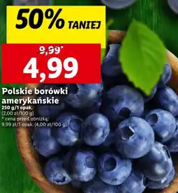 Lidl Polskie borówki amerykańskie 250 g oferta