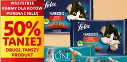 Wszystkie karmy dla kotów Purina i Felix