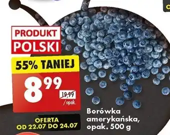 Biedronka Borówka amerykańska 500 g oferta