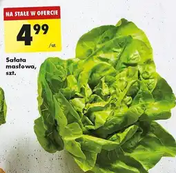 Biedronka Sałata masłowa oferta
