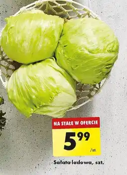 Biedronka Sałata lodowa, szt. oferta