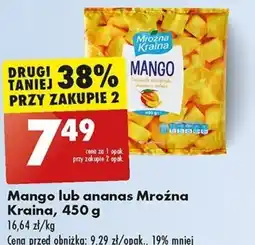 Biedronka Mango lub ananas Mrożna Kraina 450 g oferta