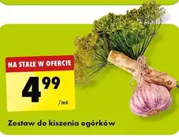 Biedronka Zestaw do kiszenia ogórków oferta