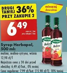 Biedronka Syrop Herbapol 500 ml oferta
