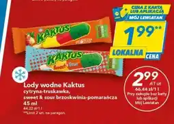 Lewiatan Lody wodne Kaktus oferta