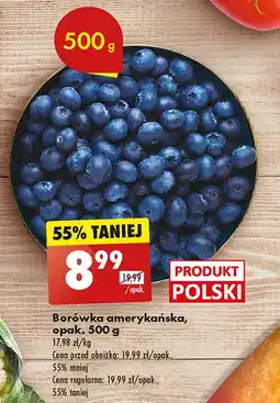 Biedronka Borówki amerykańskie oferta