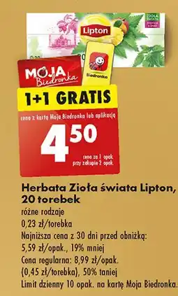 Biedronka Herbatka pokrzywa z mango Lipton Zioła Świata oferta