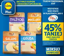 Lidl Ser tylzycki Pilos oferta