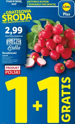Lidl Rzodkiewka oferta