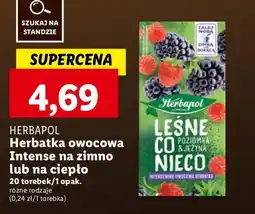 Lidl Herbata leśne co nieco Herbapol oferta