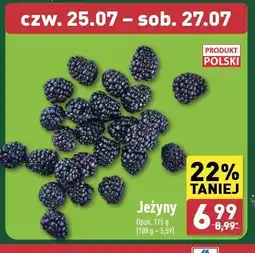 ALDI Jeżyny polska oferta