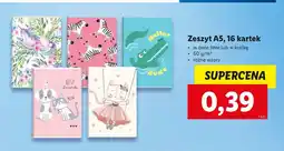 Lidl Zeszyt a5 16 kartek linia oferta