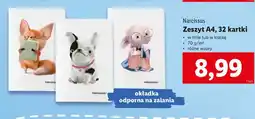 Lidl Zeszyt a4/32 k. kratka Narcissus oferta