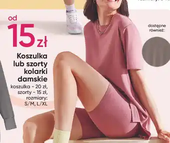 Pepco Kolarki damskie s-xl oferta