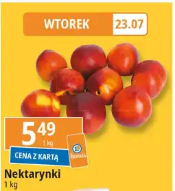 E.Leclerc Nektarynki oferta