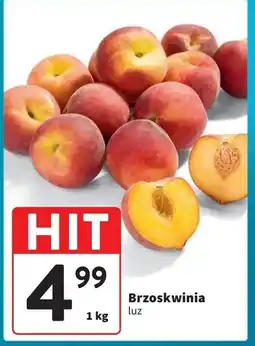 Intermarche Nektarynki oferta