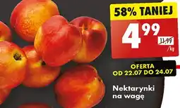 Biedronka Nektarynki oferta