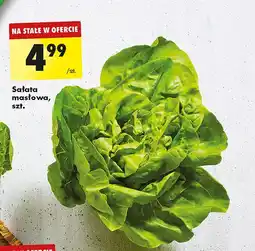 Biedronka Sałata masłowa polska oferta