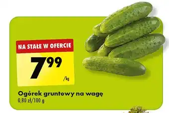 Biedronka Ogórki gruntowe oferta