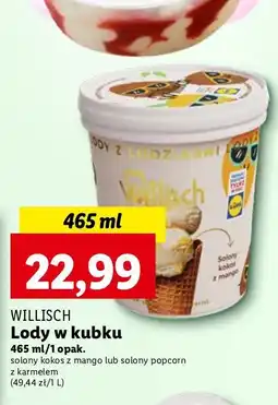 Lidl Lody solony kokos z mango Willisch oferta