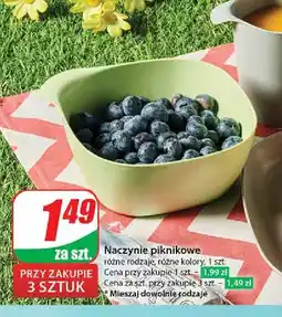 Dino Naczynie piknikowe oferta
