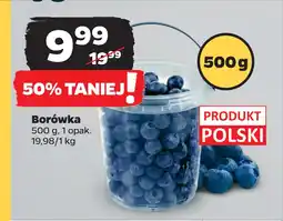 Netto Borówka oferta