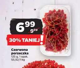 Czerwona porzeczka