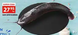 SUM AFRYKAŃSKI 1 kg