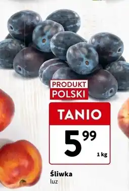 Intermarche Śliwki oferta
