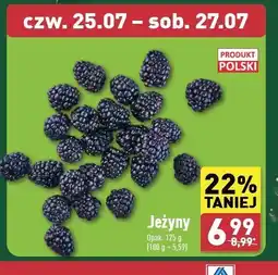 ALDI Jeżyny polska oferta
