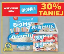 Netto Lód trio crunchy Algida Big Milk oferta
