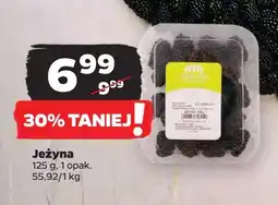 Jeżyny