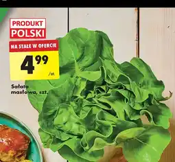 Biedronka Sałata masłowa polska oferta