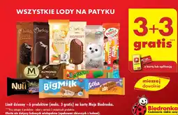 Biedronka Lód czajnik Hortex Mystery Ice oferta