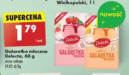 Biedronka Galaretka mleczna malinowa Delecta oferta