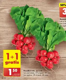 Biedronka Rzodkiewka oferta