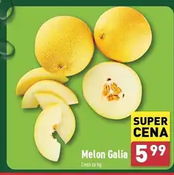 ALDI Melon galia oferta