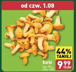 ALDI Kurki oferta