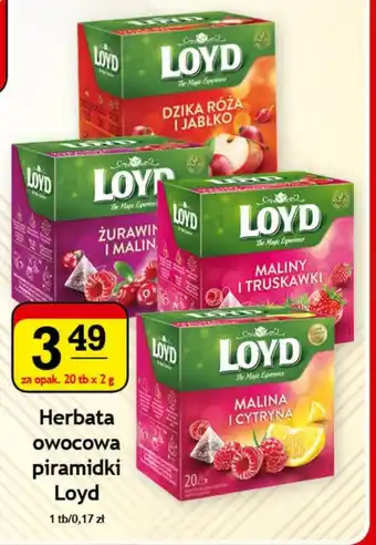 Gram Market Herbatka owocowa piramidki Loyd 20 torebek oferta