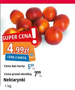 E.Leclerc Nektarynki oferta